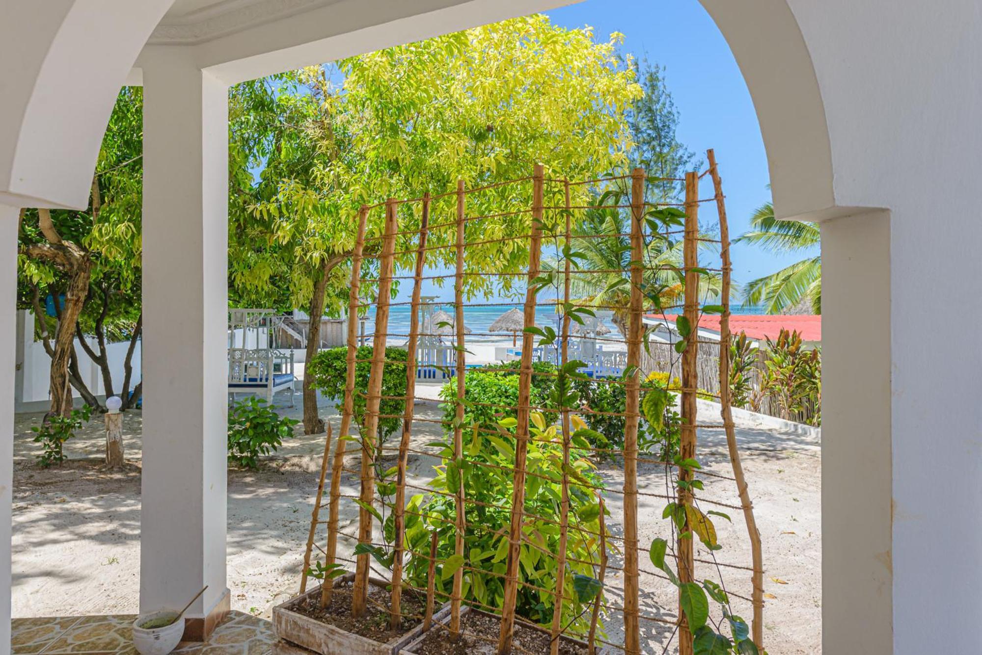 Marea Boutique Hotel Jambiani  Exterior foto